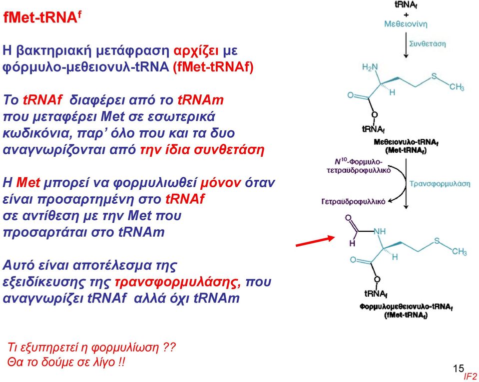 φορμυλιωθεί μόνον όταν είναι προσαρτημένη στο trnaf σε αντίθεση με την Met που προσαρτάται στο trnam Αυτό είναι