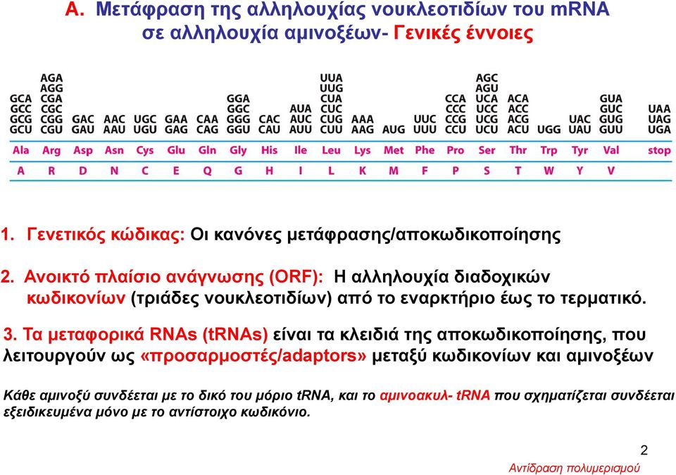 Ανοικτό πλαίσιο ανάγνωσης (ORF): Η αλληλουχία διαδοχικών κωδικονίων (τριάδες νουκλεοτιδίων) από το εναρκτήριο έως το τερματικό. 3.