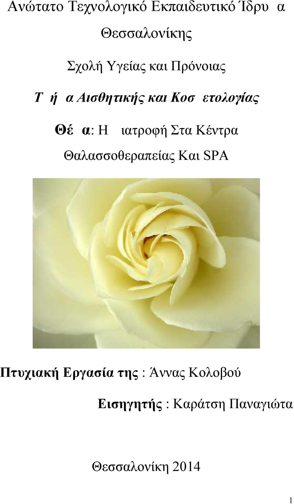 Διατροφή Στα Κέντρα Θαλασσοθεραπείας Και SPA Πτυχιακή Εργασία