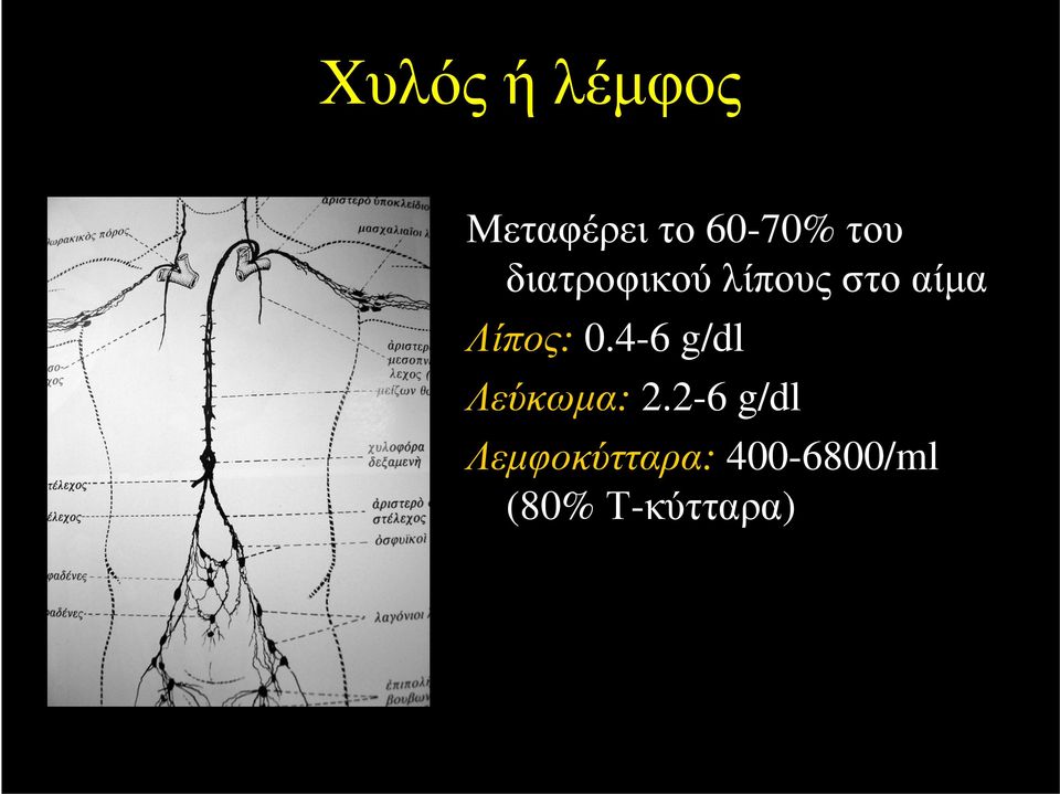 Λίπος: 0.4-6 g/dl Λεύκωμα: 2.