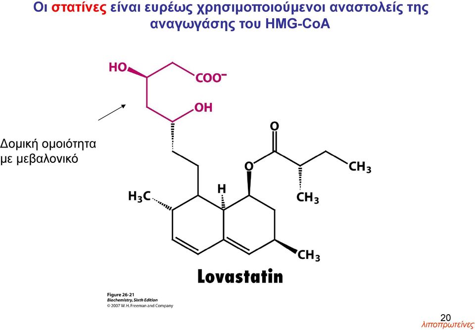 της αναγωγάσης του HMG-CoA
