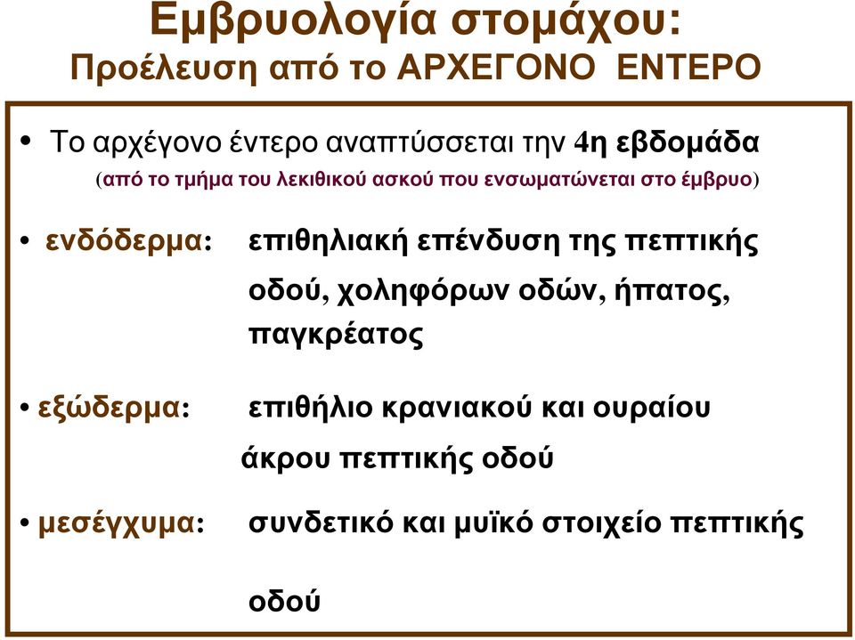 επιθηλιακή επένδυση της πεπτικής οδού, χοληφόρων οδών, ήπατος, παγκρέατος εξώδερμα: