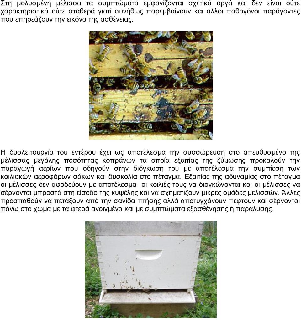 Η δυσλειτουργία του εντέρου έχει ως αποτέλεσμα την συσσώρευση στο απευθυσμένο της μέλισσας μεγάλης ποσότητας κοπράνων τα οποία εξαιτίας της ζύμωσης προκαλούν την παραγωγή αερίων που οδηγούν στην