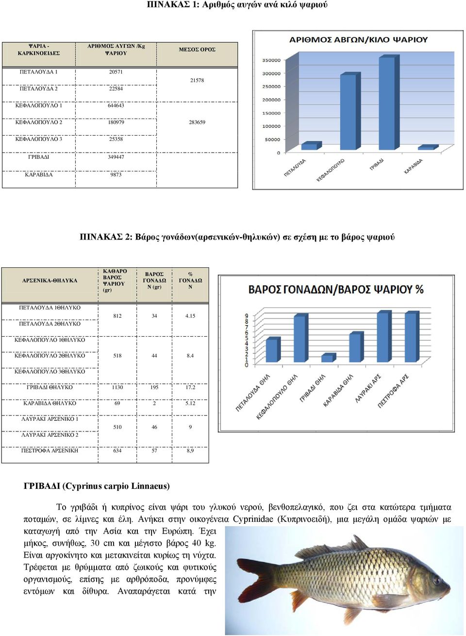 ΠΕΤΑΛΟΥΔΑ 2ΘΗΛΥΚΟ 812 34 4.15 ΚΕΦΑΛΟΠΟΥΛΟ 1ΘΗΛΥΚΟ ΚΕΦΑΛΟΠΟΥΛΟ 2ΘΗΛΥΚΟ 518 44 8.4 ΚΕΦΑΛΟΠΟΥΛΟ 3ΘΗΛΥΚΟ ΓΡΙΒΑΔΙ ΘΗΛΥΚΟ 1130 195 17.2 ΚΑΡΑΒΙΔΑ ΘΗΛΥΚΟ 69 2 5.