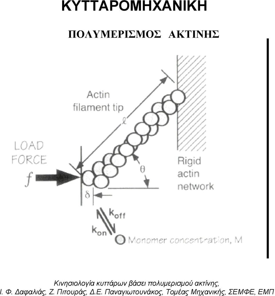 ακτίνης, Ι. Φ. Δαφαλιάς, Ζ. Πιτουράς, Δ.Ε.