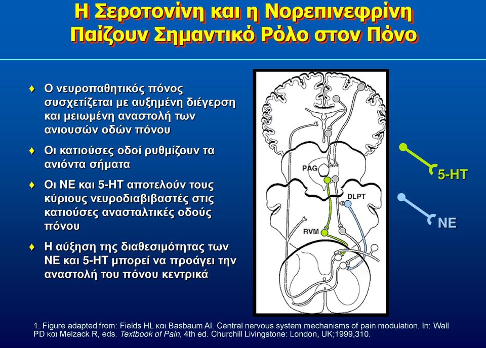 πόνου Η αύξηση της διαθεσιμότητας των NE και 5-HT μπορεί να προάγει την αναστολή του πόνου κεντρικά 5-HT NE 1.