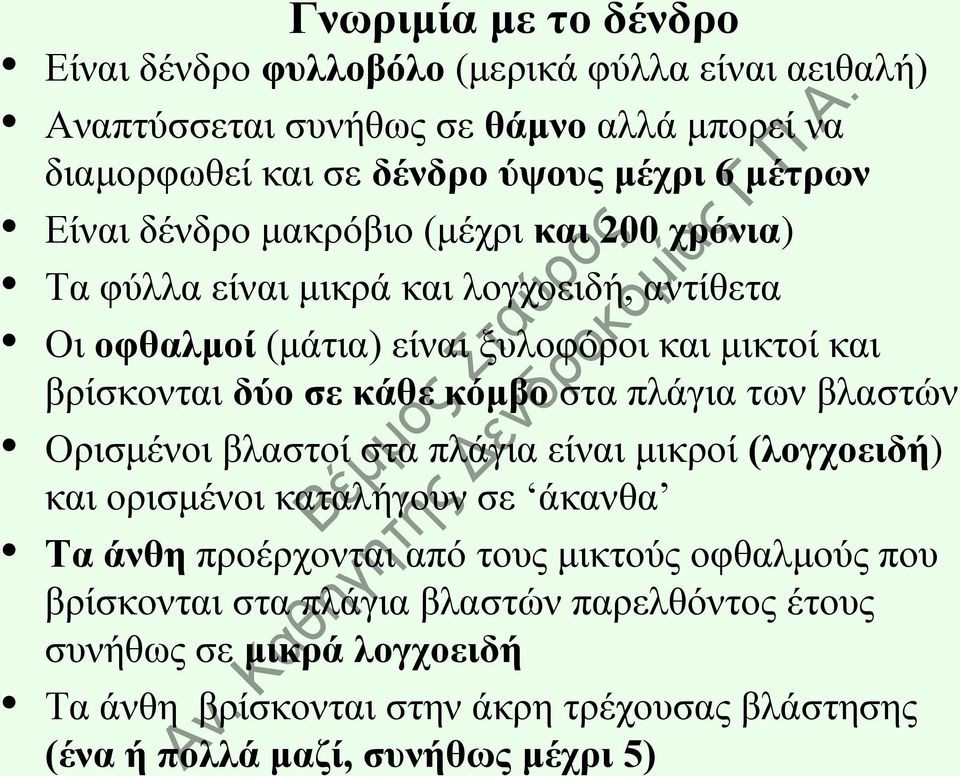 ζε θάζε θόκβν ζηα πιάγηα ησλ βιαζηώλ Οξηζκέλνη βιαζηνί ζηα πιάγηα είλαη κηθξνί (ινγρνεηδή) θαη νξηζκέλνη θαηαιήγνπλ ζε άθαλζα Σα άλζε πξνέξρνληαη από ηνπο κηθηνύο