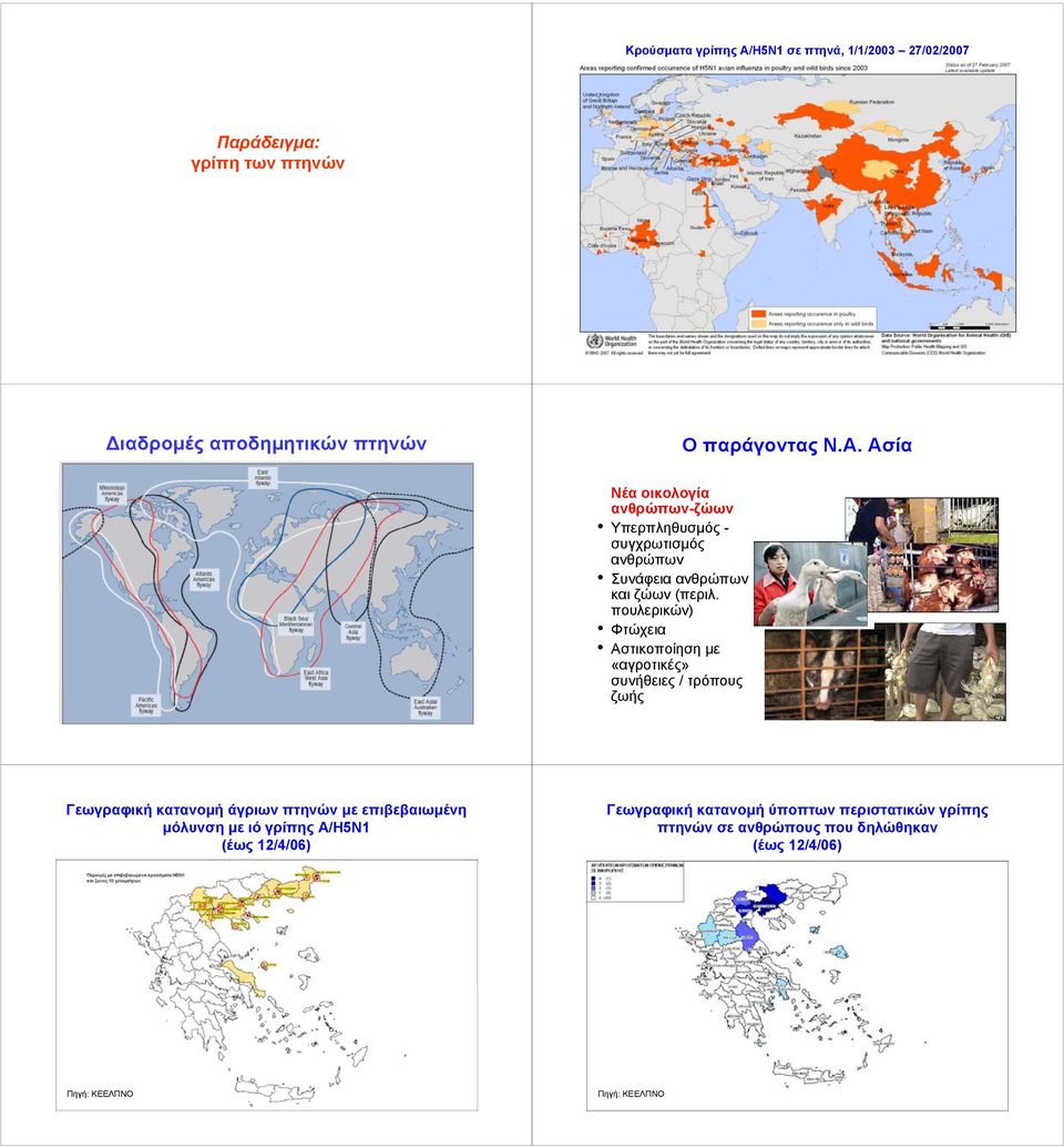 γρίπης Α/Η5Ν1 (έως 12/4/06) Γεωγραφική κατανομή ύποπτων περιστατικών γρίπης πτηνών σε ανθρώπους που δηλώθηκαν (έως 12/4/06) Ν=19 Πηγή: