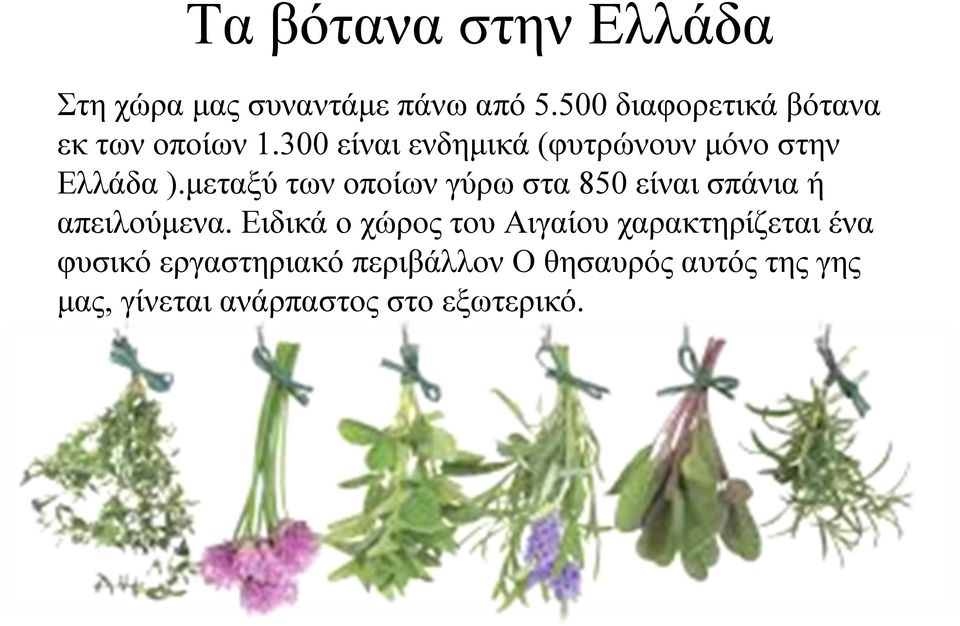 300 είναι ενδημικά (φυτρώνουν μόνο στην Ελλάδα ).