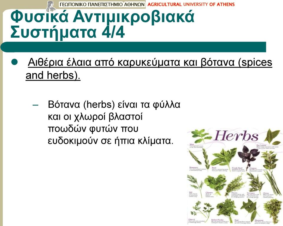 herbs).