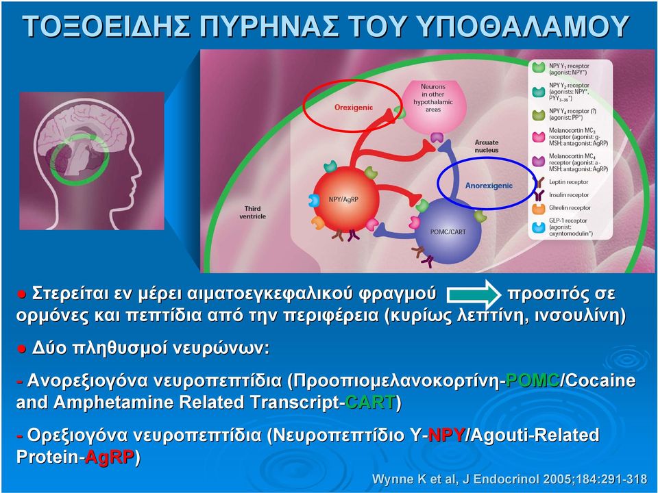 νευροπεπτίδια (Προοπιομελανοκορτίνη-POMC/Cocaine and Amphetamine Related Transcript-CART CART) -