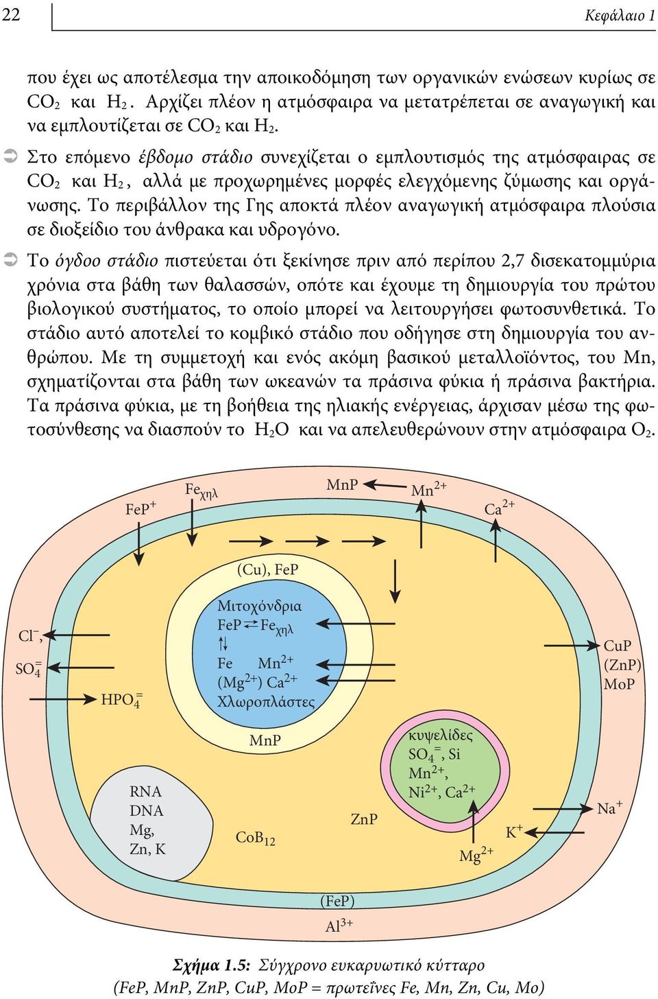 Το περιβάλλον της Γης αποκτά πλέον αναγωγική ατμόσφαιρα πλούσια σε διοξείδιο του άνθρακα και υδρογόνο.