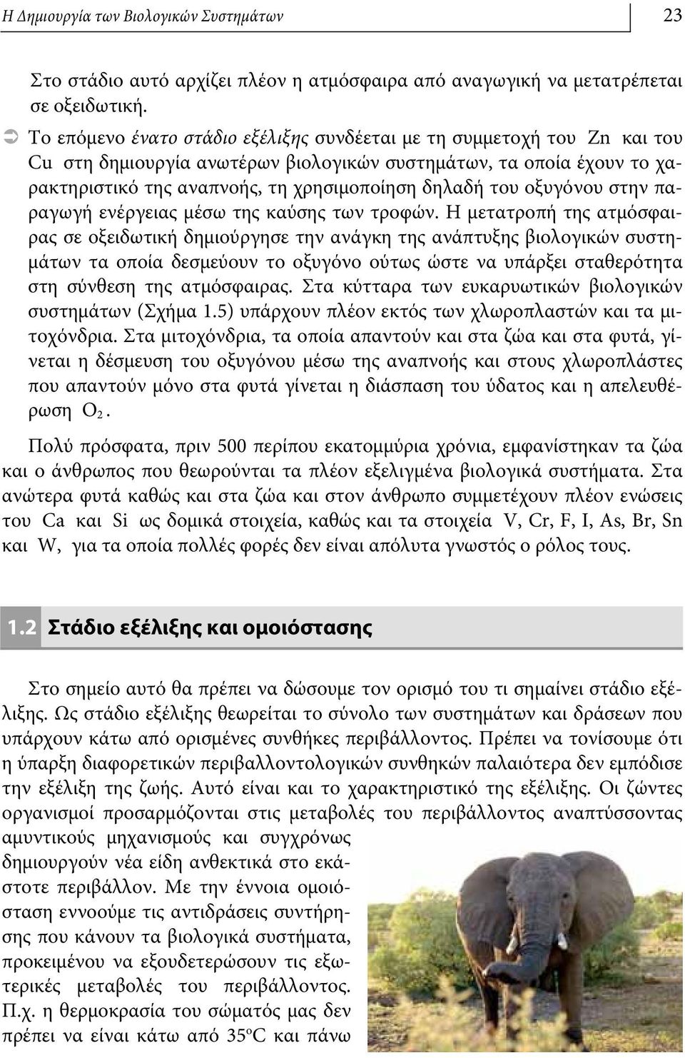 οξυγόνου στην παραγωγή ενέργειας μέσω της καύσης των τροφών.