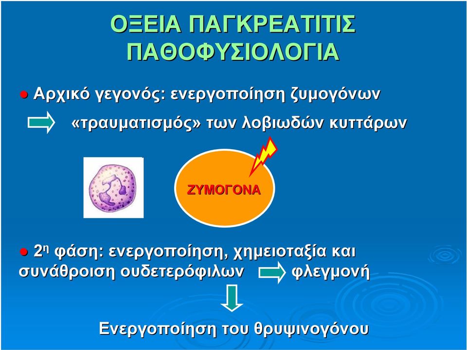 κυττάρων ΖΥΜΟΓΟΝΑ 2 η φάση: ενεργοποίηση, χημειοταξία