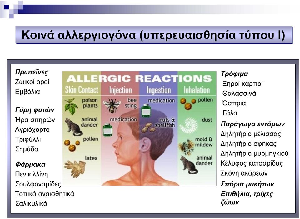 Σαλικυλικά Τρόφιµα Ξηροί καρποί Θαλασσινά Όσπρια Γάλα Παράγωγα εντόµων ηλητήριο µέλισσας