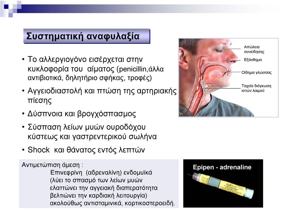 λεπτών Αντιµετώπιση άµεση : Επινεφρίνη (αδρεναλίνη) ενδοµυϊκά (λύει το σπασµό των λείων µυών ελαττώνει την αγγειακή διαπερατότητα βελτιώνει την