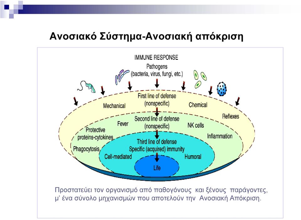 παθογόνους και ξένους παράγοντες, µ ένα