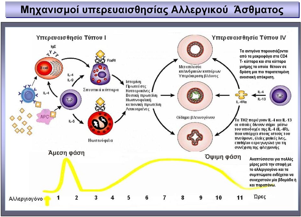 παρατεταµένη ανοσιακή απόκριση.