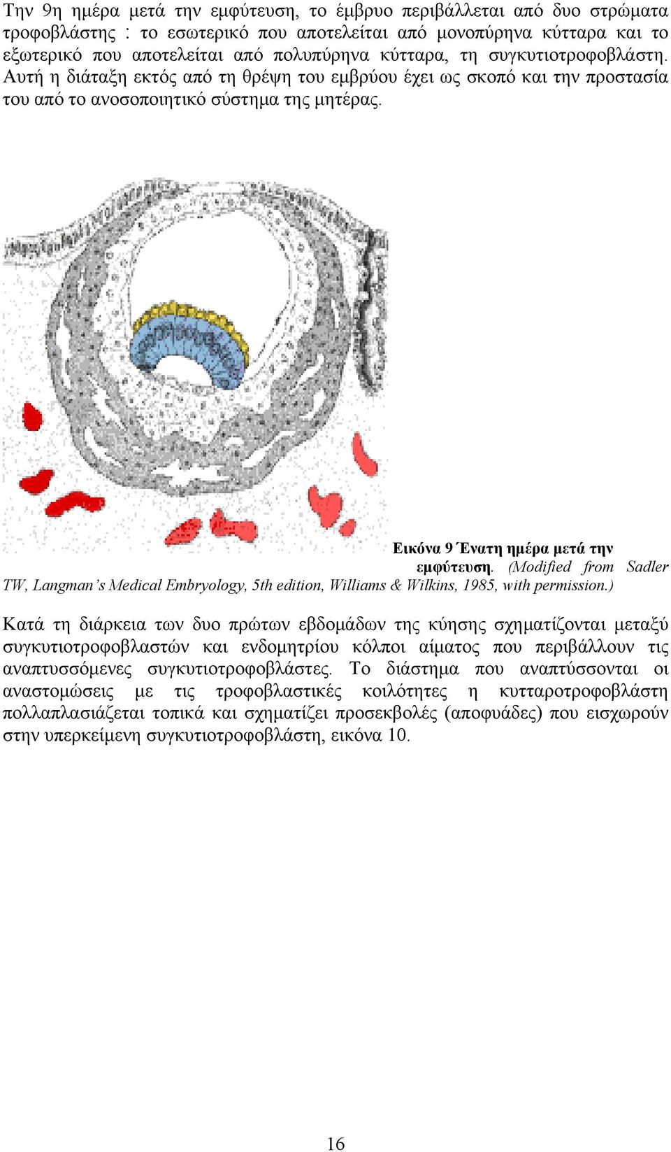 (Modified from Sadler TW, Langman s Medical Embryology, 5th edition, Williams & Wilkins, 1985, with permission.