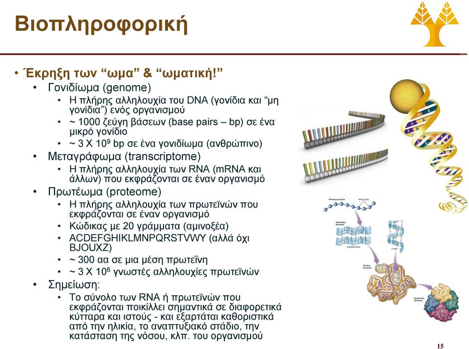 Μεταγράφωμα (transcriptome) Η πλήρης αλληλουχία των RNA (mrna και άλλων) που εκφράζονται σε έναν οργανισμό Πρωτέωμα (proteome) Η πλήρης αλληλουχία των πρωτεϊνών που εκφράζονται σε έναν οργανισμό