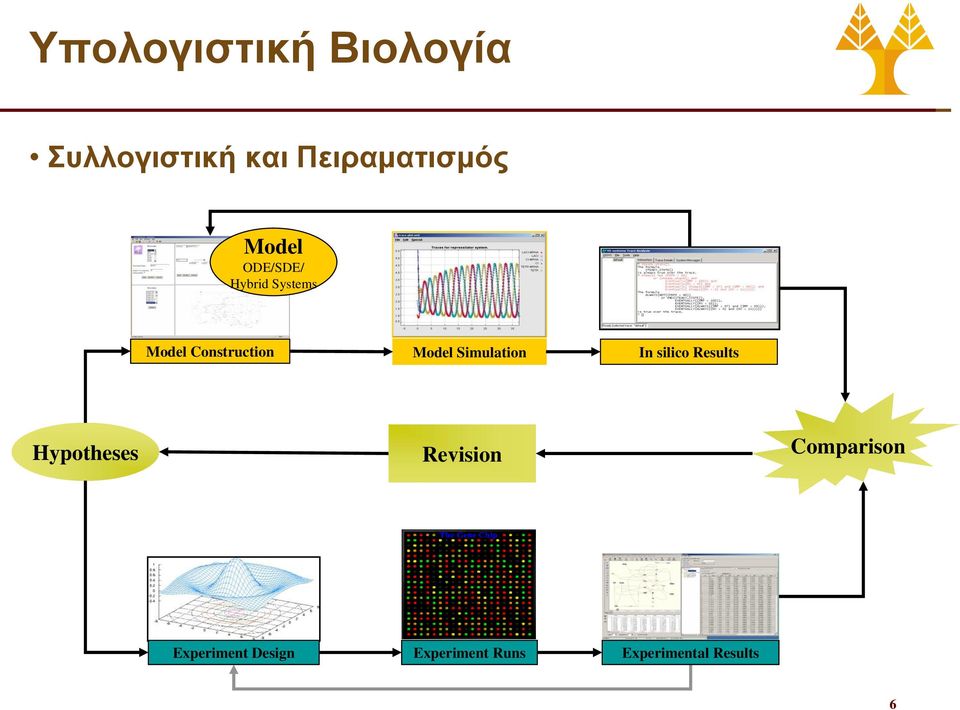 Simulation In silico Results Hypotheses Revision