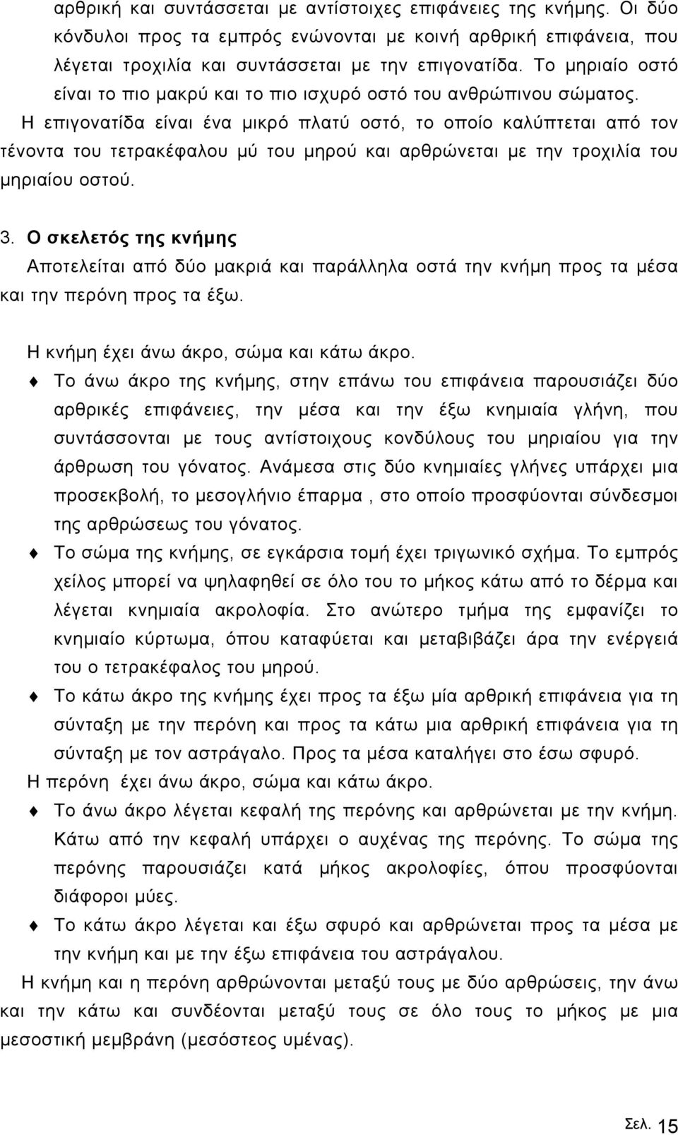 Η επιγονατίδα είναι ένα µικρό πλατύ οστό, το οποίο καλύπτεται από τον τένοντα του τετρακέφαλου µύ του µηρού και αρθρώνεται µε την τροχιλία του µηριαίου οστού. 3.