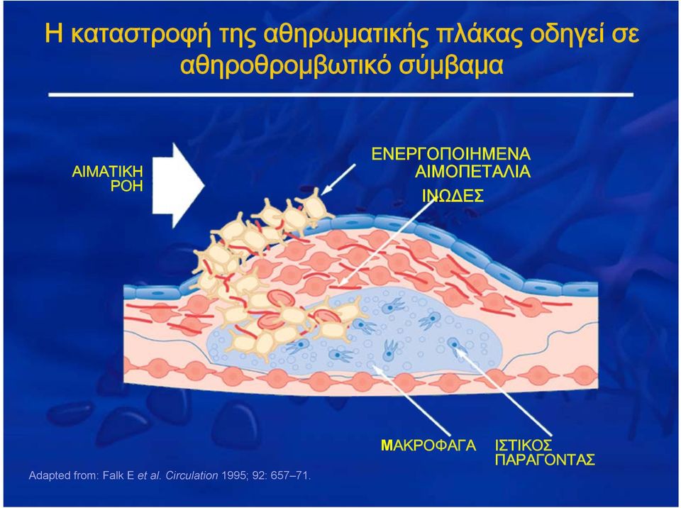 ΕΝΕΡΓΟΠΟΙΗΜΕΝΑ ΑΙΜΟΠΕΤΑΛΙΑ ΙΝΩΔΕΣ Adapted from: