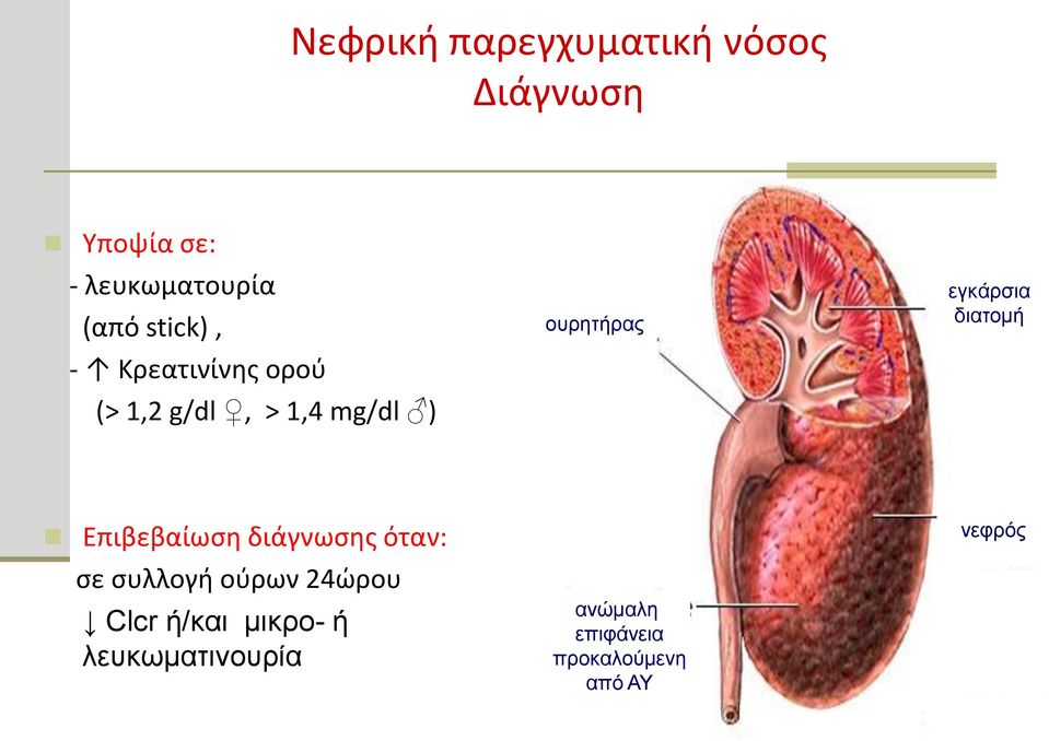 εγκάρσια διατομή Επιβεβαίωση διάγνωσης όταν: σε συλλογή ούρων 24ώρου