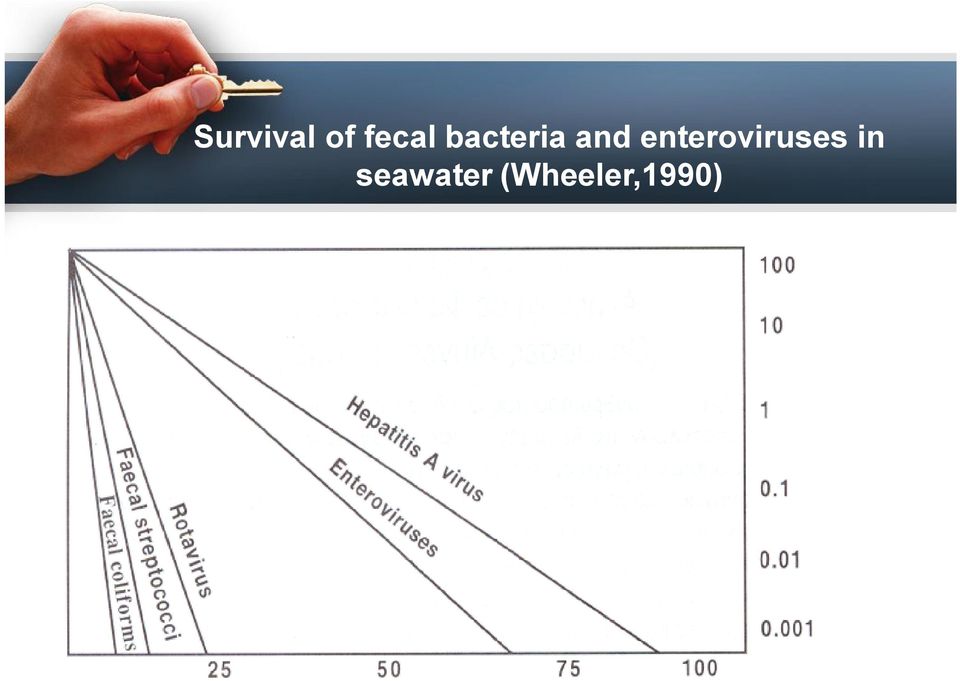 enteroviruses in