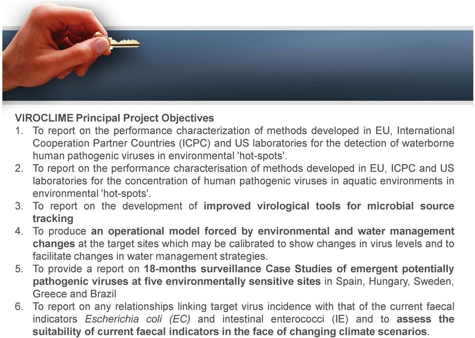 viruses in environmental 'hot-spots'. 2.