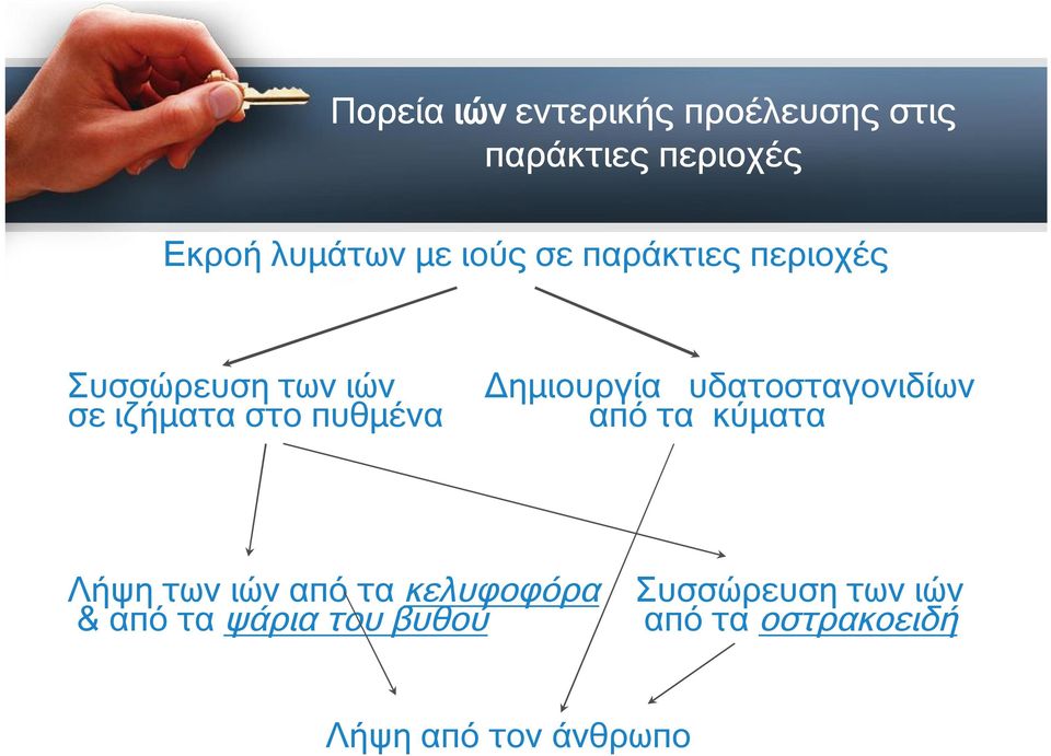 Δημιουργία υδατοσταγονιδίων από τα κύματα Λήψη των ιών από τα κελυφοφόρα &