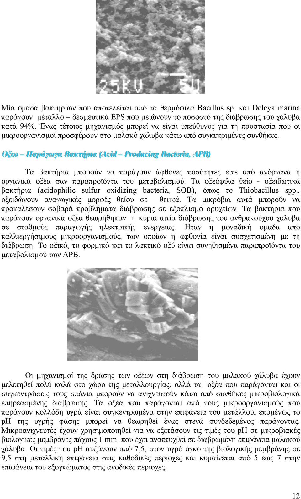 Οξξεεοο Πααρράάγγωγγαα Βαακκττήήρρι ιαα (Acci ( idd PPrroodduucci inngg Baacct teerri iaa,, APPB) ) Τα βακτήρια µπορούν να παράγουν άφθονες ποσότητες είτε από ανόργανα ή οργανικά οξέα σαν