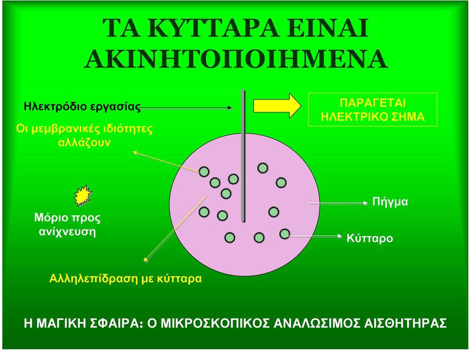 Μόριο προς ανίχνευση Πήγμα Κύτταρο Αλληλεπίδραση με