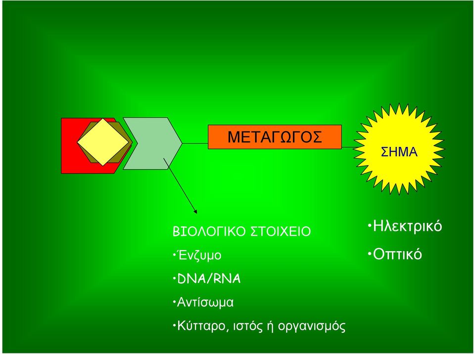 Αντίσωμα Κύτταρο, ιστός ή