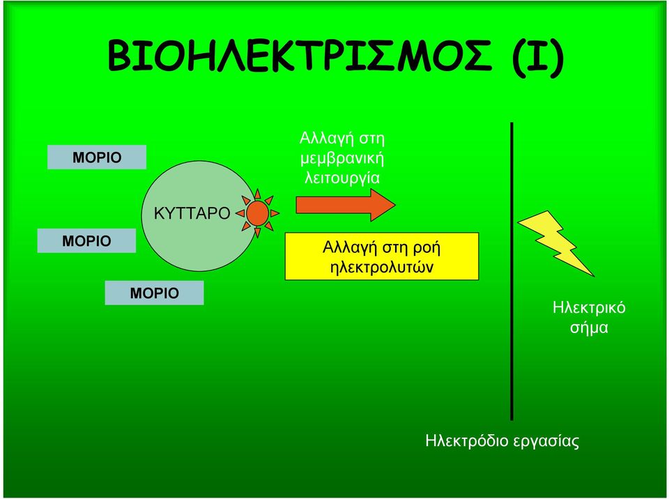 μεμβρανική λειτουργία Αλλαγή στη