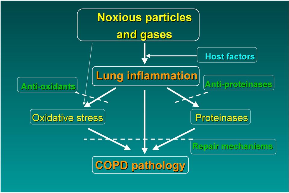 factors Anti-proteinases Oxidative