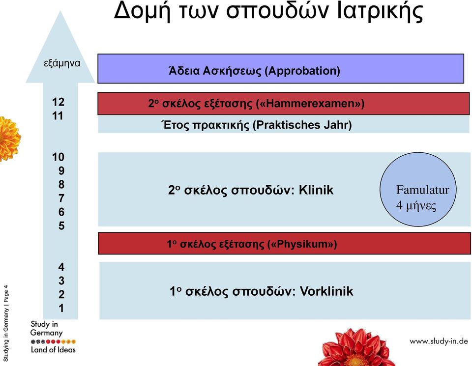 7 6 5 2 ο σκέλος σπουδών: Klinik Famulatur 4 μήνες 1 ο σκέλος εξέτασης