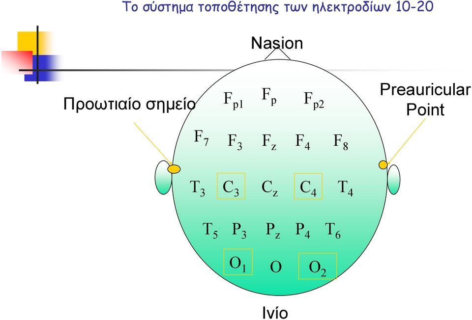 Preauricular Point F 7 F 3 F z F 4 F 8 T 3