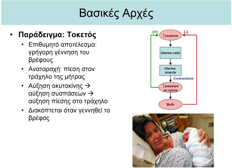 συσπάσεων αύξηση πίεσης στο τράχηλο Διακόπτεται όταν γεννηθεί το βρέφος (+)