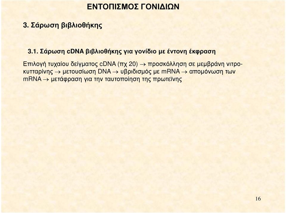 δείγµατος cdna (πχ 20) προσκόλληση σε µεµβράνη νιτροκυτταρίνης