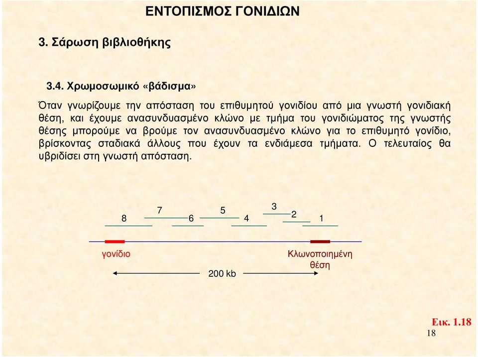 ανασυνδυασµένο κλώνο µε τµήµα του γονιδιώµατος της γνωστής θέσης µπορούµε να βρούµε τον ανασυνδυασµένο κλώνο για το