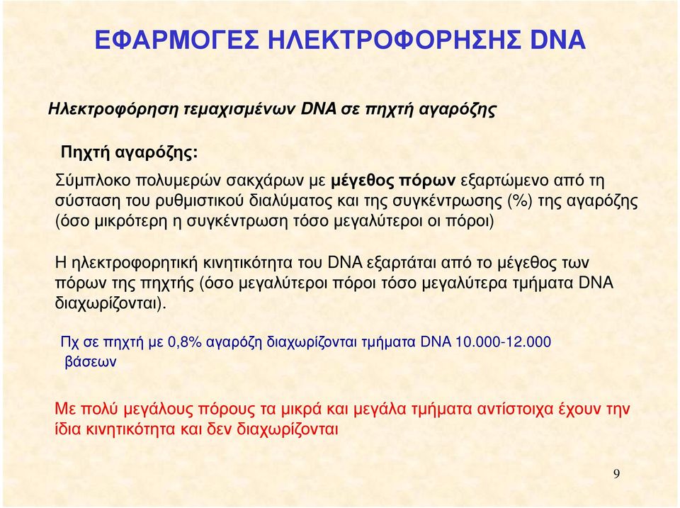 κινητικότητα του DNA εξαρτάται από το µέγεθος των πόρων της πηχτής (όσο µεγαλύτεροι πόροι τόσο µεγαλύτερα τµήµατα DNA διαχωρίζονται).