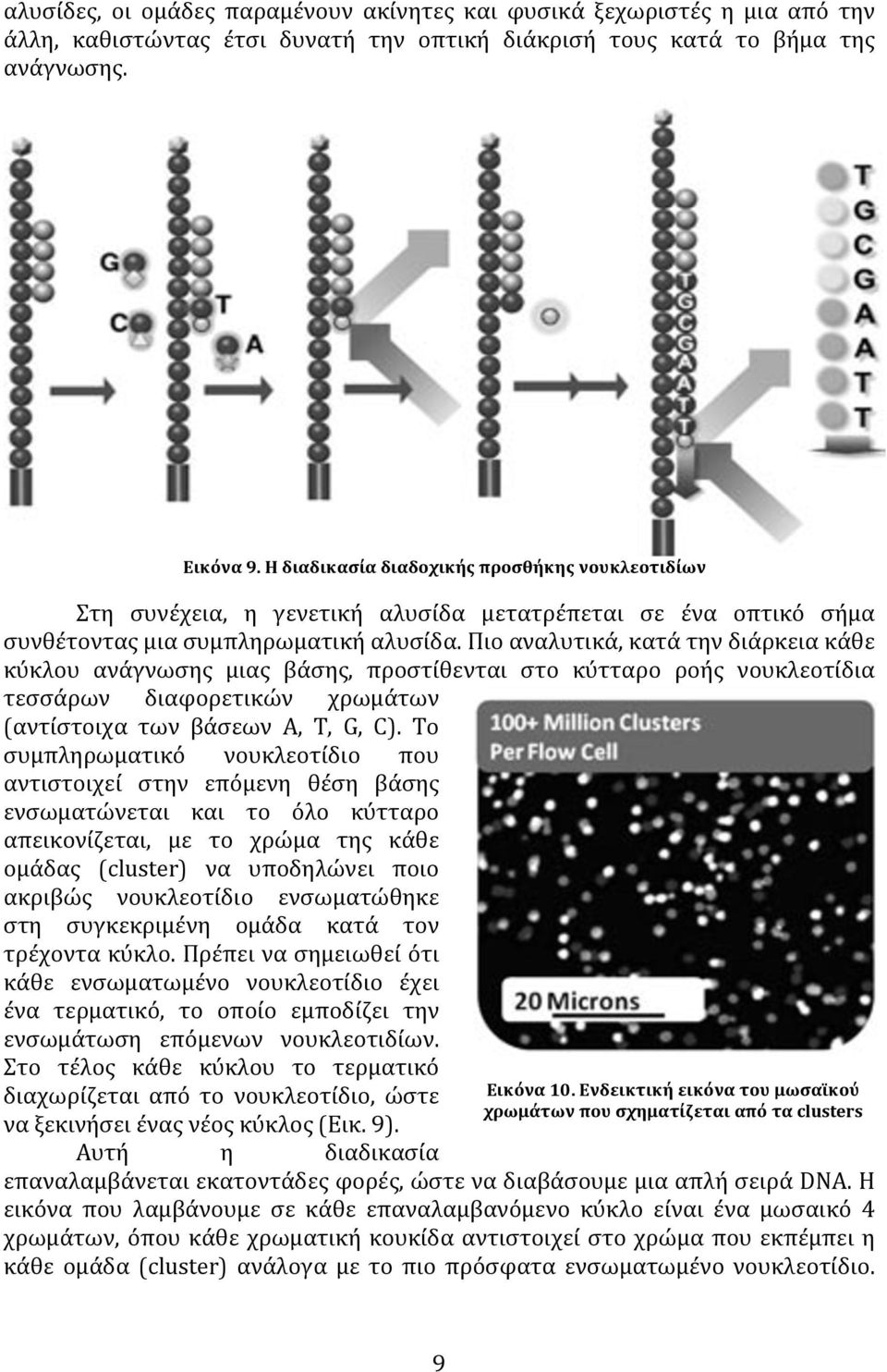 Πιο αναλυτικά, κατά την διάρκεια κάθε κύκλου ανάγνωσης μιας βάσης, προστίθενται στο κύτταρο ροής νουκλεοτίδια τεσσάρων διαφορετικών χρωμάτων (αντίστοιχα των βάσεων A, T, G, C).