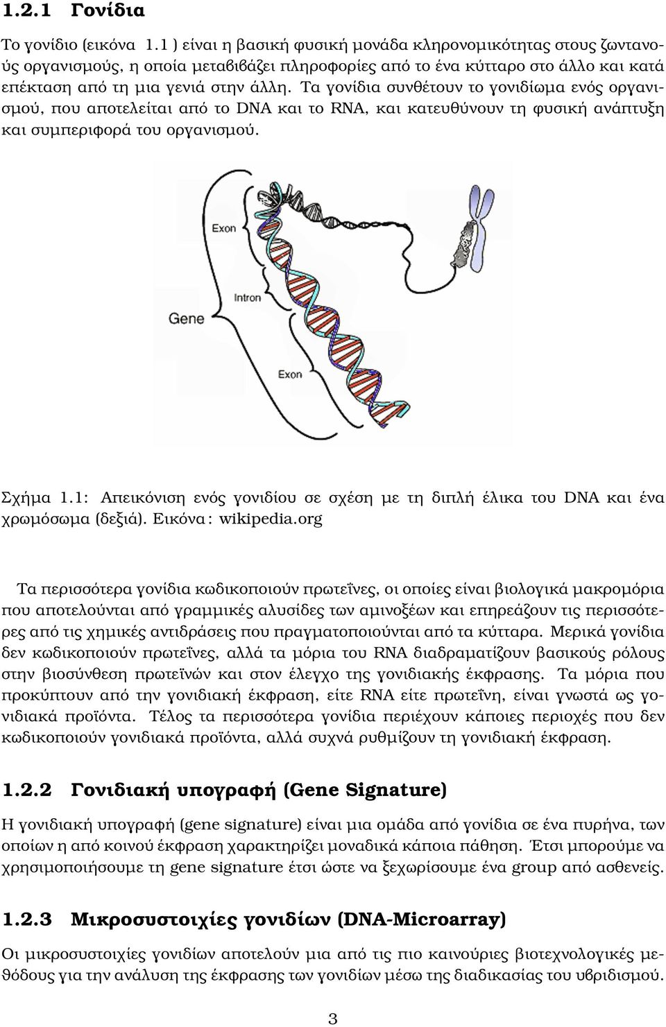 Τα γονίδια συνθέτουν το γονιδίωµα ενός οργανισµού, που αποτελείται από το DNA και το RNA, και κατευθύνουν τη ϕυσική ανάπτυξη και συµπεριφορά του οργανισµού. Σχήµα 1.