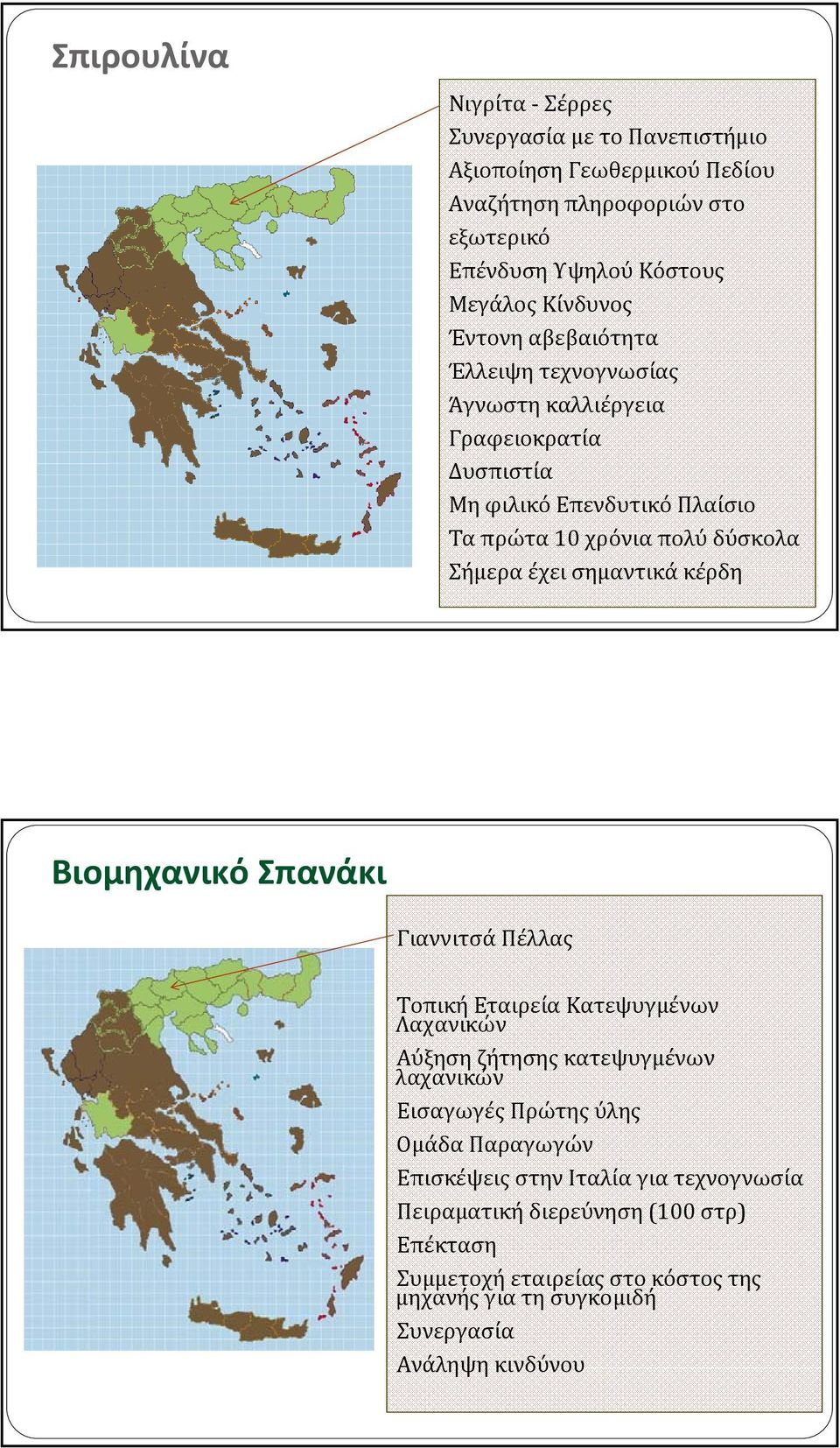 σημαντικά κέρδη Βιομηχανικό Σπανάκι Γιαννιτσά Πέλλας Τοπική Εταιρεία Κατεψυγμένων Λαχανικών Αύξηση ζήτησης κατεψυγμένων λαχανικών Εισαγωγές Πρώτης ύλης Ομάδα