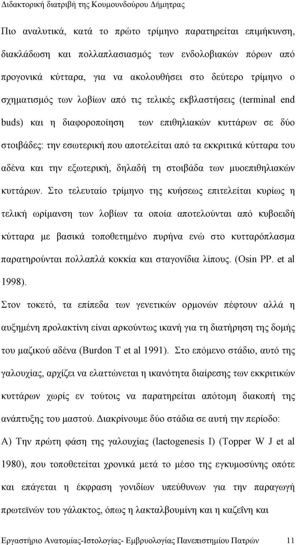 εξωτερική, δηλαδή τη στοιβάδα των μυοεπιθηλιακών κυττάρων.