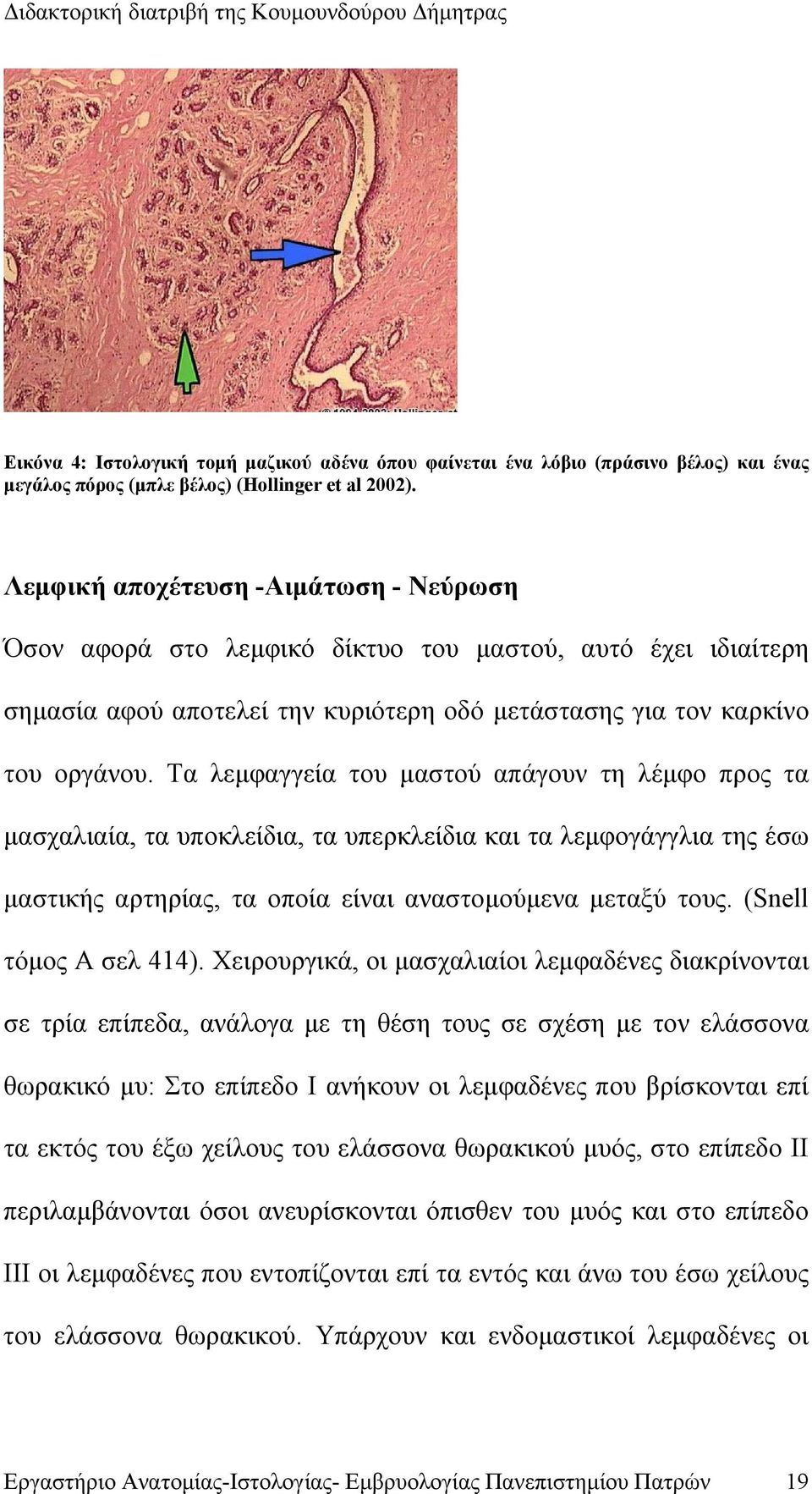 Τα λεμφαγγεία του μαστού απάγουν τη λέμφο προς τα μασχαλιαία, τα υποκλείδια, τα υπερκλείδια και τα λεμφογάγγλια της έσω μαστικής αρτηρίας, τα οποία είναι αναστομούμενα μεταξύ τους.