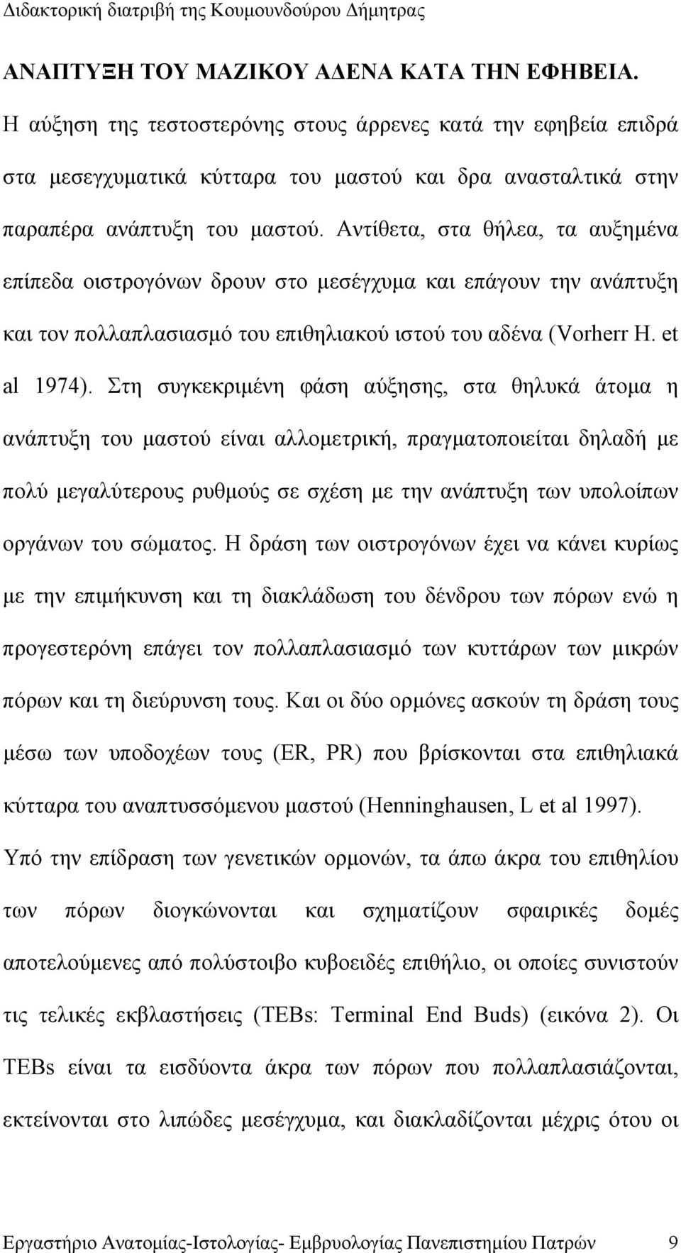 Αντίθετα, στα θήλεα, τα αυξημένα επίπεδα οιστρογόνων δρουν στο μεσέγχυμα και επάγουν την ανάπτυξη και τον πολλαπλασιασμό του επιθηλιακού ιστού του αδένα (Vorherr H. et al 1974).