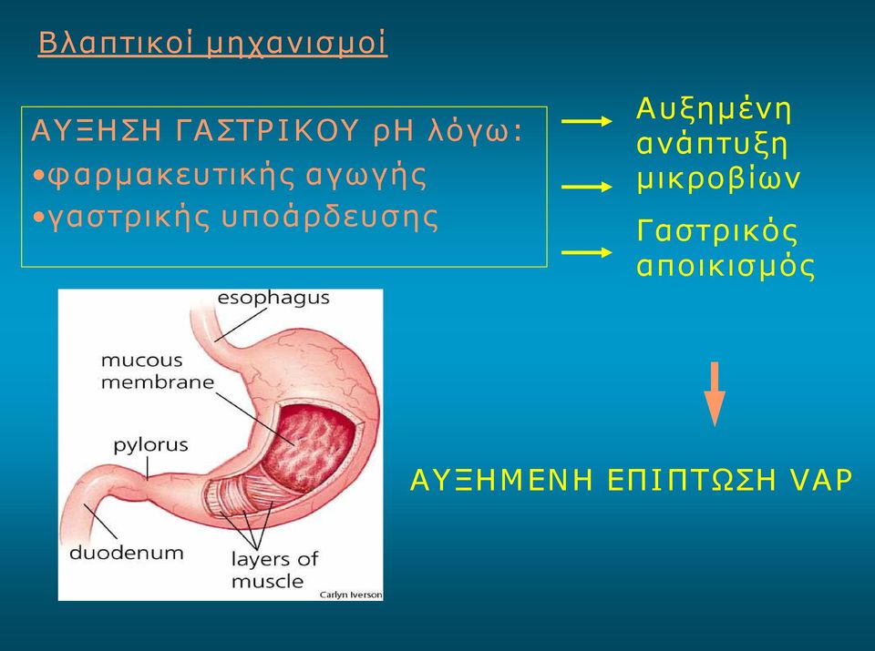 υποάρδευσης Αυξημένη ανάπτυξη μικροβίων