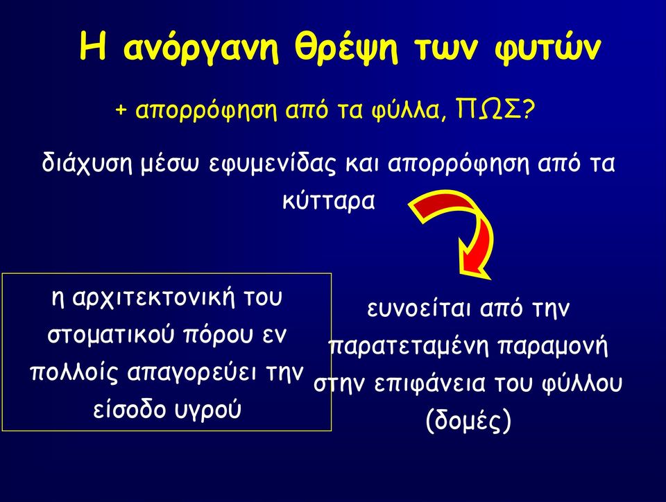 αρχιτεκτονική του στοματικού πόρου εν πολλοίς απαγορεύει την